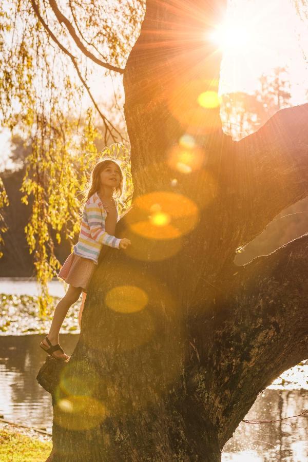 Hidden Lake Hotel & Apartments Cambridge Bagian luar foto